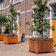 Pots pour plantes YORK en acier CorTen