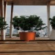 Pots pour plantes VERONA en acier CorTen