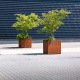 Pots pour plantes d'extérieur en acier corten