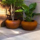 Pots pour plantes LUCCA en acier CorTen