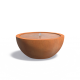 SCCBB1